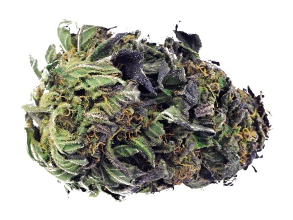 Blue Amnesia